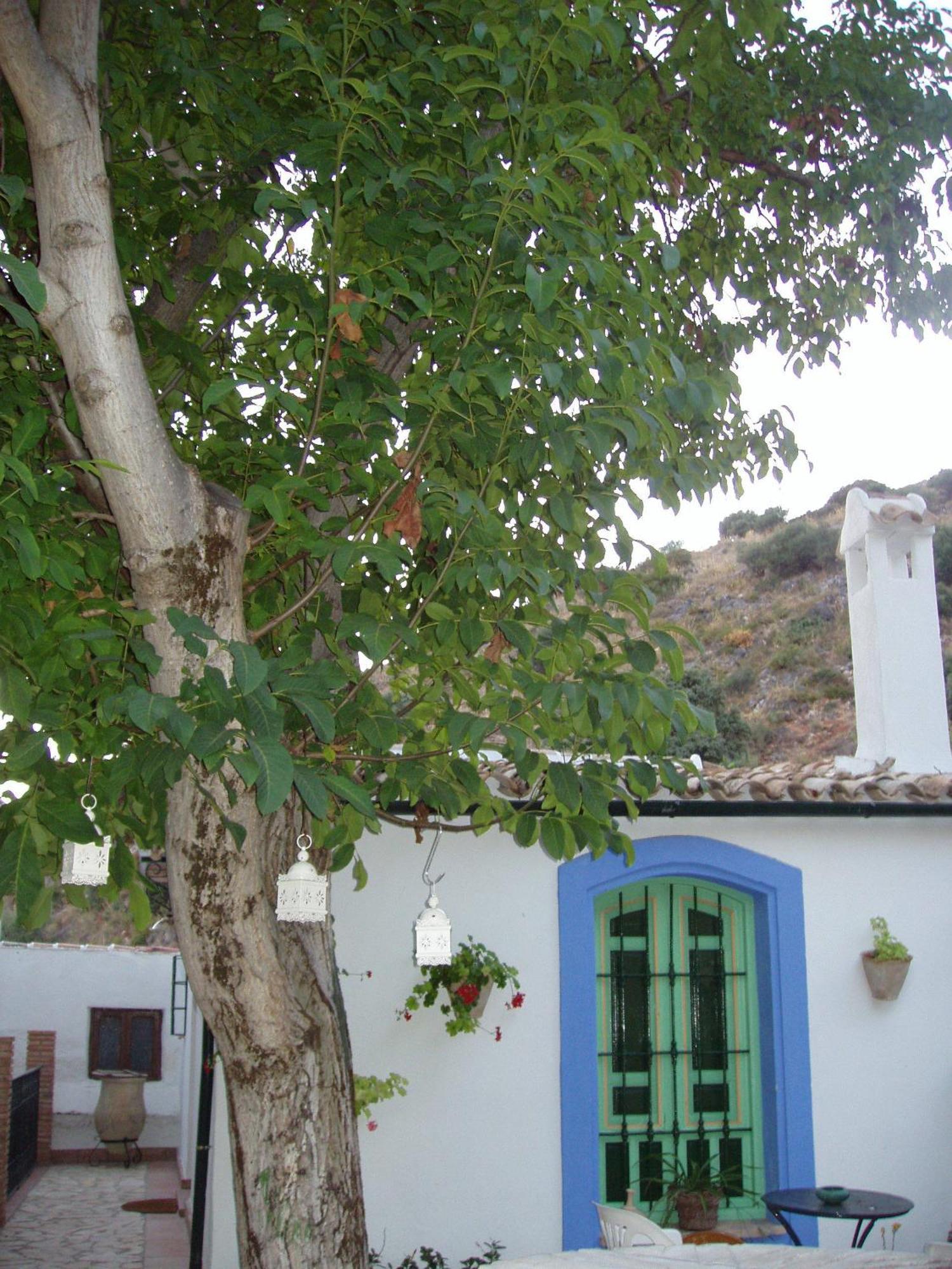 El Rincon De Carmen ξενώνας Rute Εξωτερικό φωτογραφία