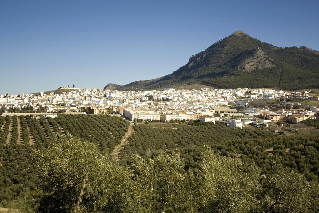 El Rincon De Carmen ξενώνας Rute Εξωτερικό φωτογραφία