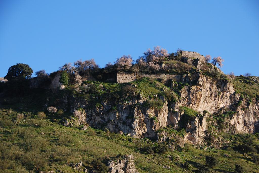 El Rincon De Carmen ξενώνας Rute Εξωτερικό φωτογραφία
