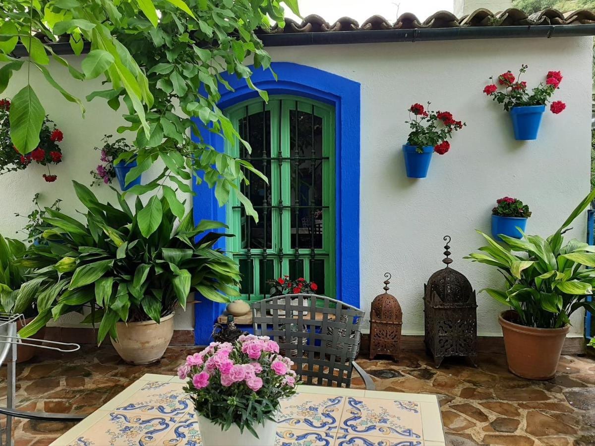 El Rincon De Carmen ξενώνας Rute Εξωτερικό φωτογραφία